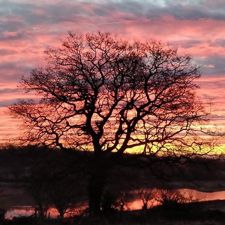 Crowhurst  Hayfield Haven-Uk40691ヴィラ エクステリア 写真