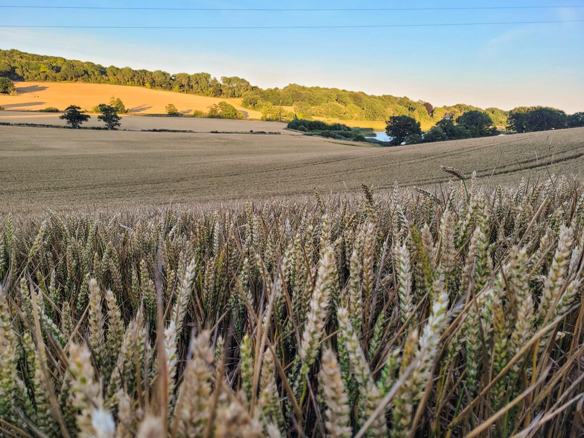 Crowhurst  Hayfield Haven-Uk40691ヴィラ エクステリア 写真
