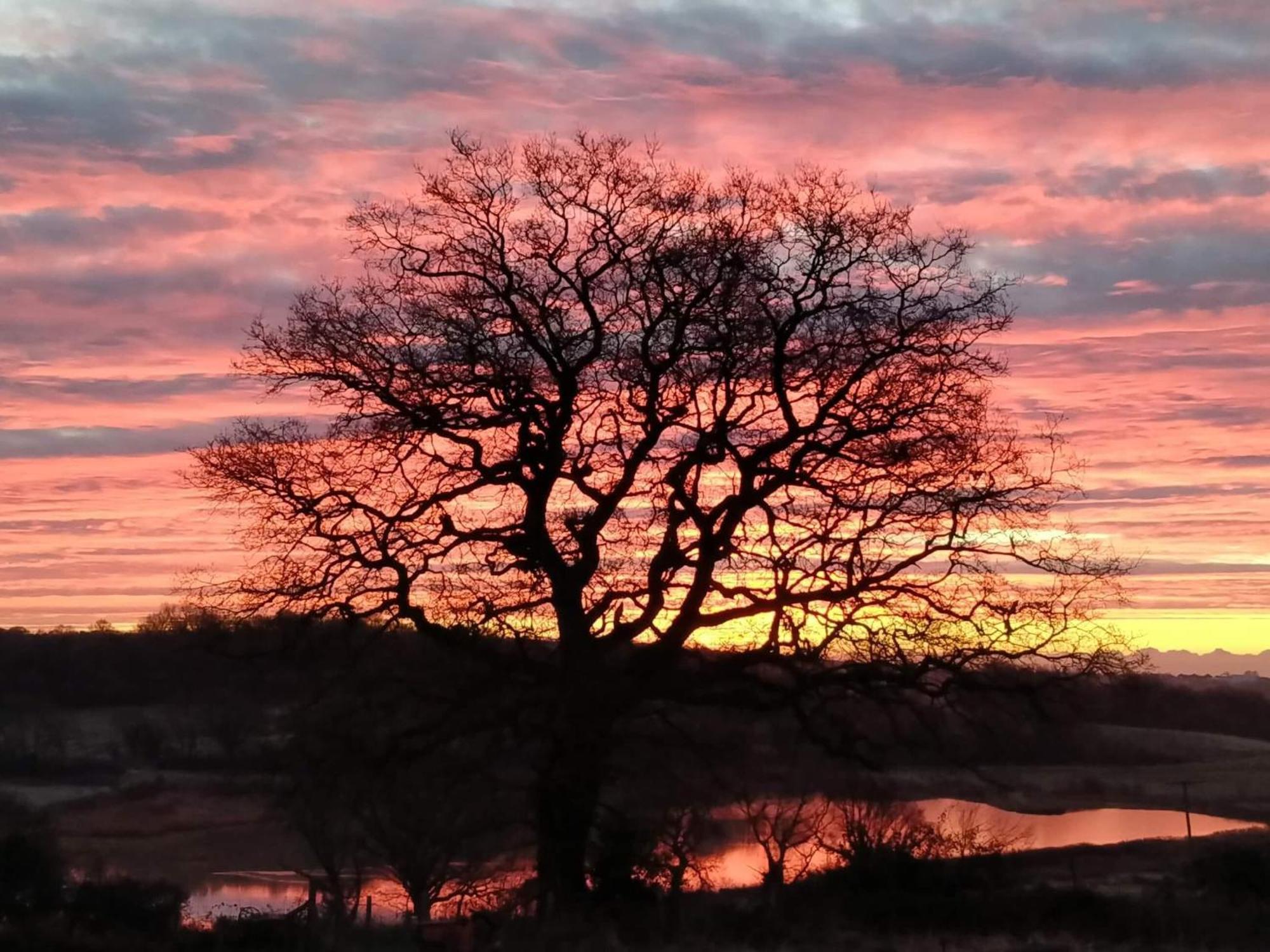 Crowhurst  Hayfield Haven-Uk40691ヴィラ エクステリア 写真